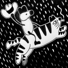 Riding the Summercat