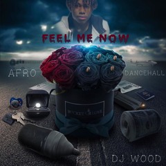 FEEL ME NOW (Afro-Dancehall) - DeeJay WOOD