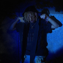 5. THE PICTURE