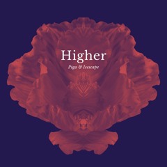 Higher (with Piga)