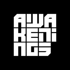 Victor Ruiz @ Awakenings Festival 2024