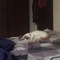 Would u be so kind (cover)