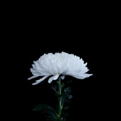 죽는 날(prod.WhiteLIT)