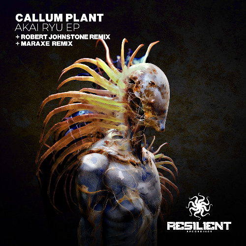 Callum Plant - Dragons Maw (Robert Johnstone Remix)