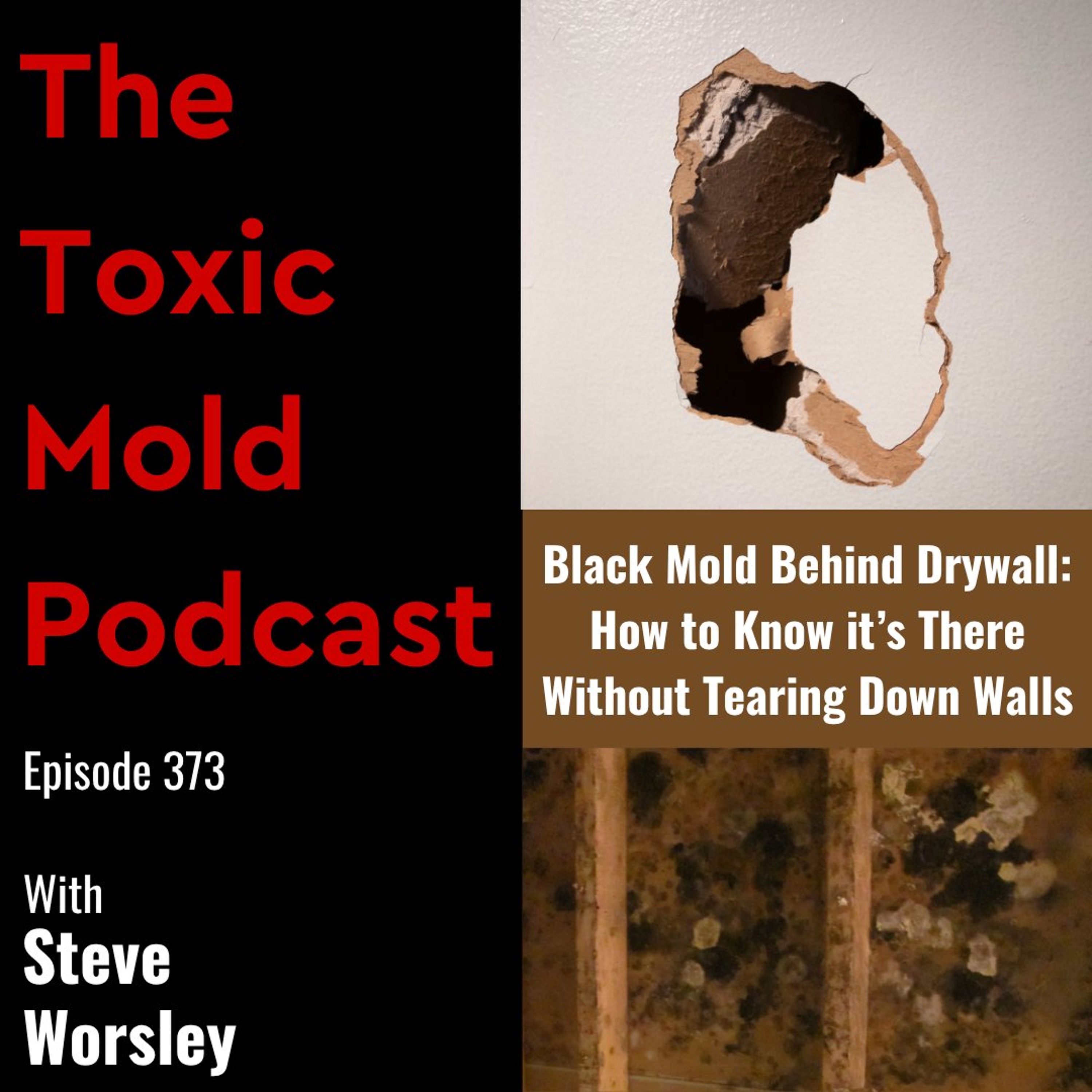 EP 373: Black Mold Behind Drywall: How to Know it's There Without Tearing Down Walls episode artwork