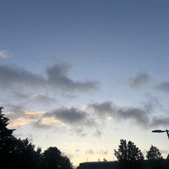 THE JUNGLE (JUNGLE RIDDIM)