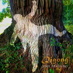 IN RAINLIGHT, TCM FITNESS, QIGONG-ROOT-TRAINING