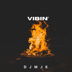 VIBIN'