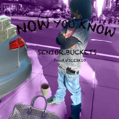 Now You Know (prod. Vice2k)