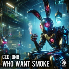 Ced_DnB - Who Want Smoke [Free Download]