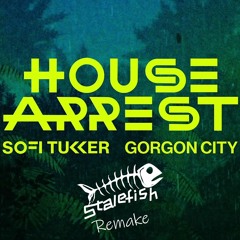 Sofi Tukker, Gorgon City - House Arrest (Stalefish Remake)