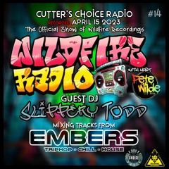 Wildfire Radio Show #14 [Guest DJ Slippery Todd]