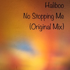 NO STOPPING ME (Original mix)