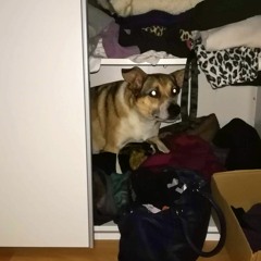 Sneaky Flo