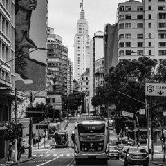 selva de pedra p. HisokaTheKiD