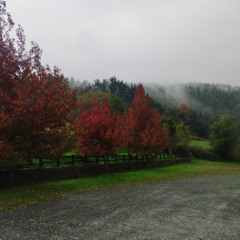 Nuse si tambien te pasa (prod. grayskies)