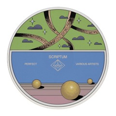 PREMIERE: Karakum - Perfect [SCDVA002]