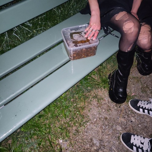 mold