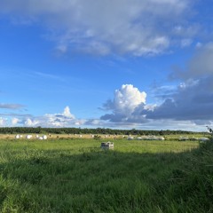 Summerover