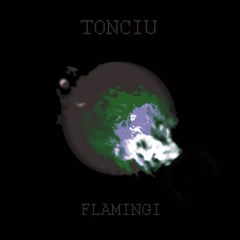 TONCIU - FLAMINGI