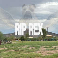 Rip Rex