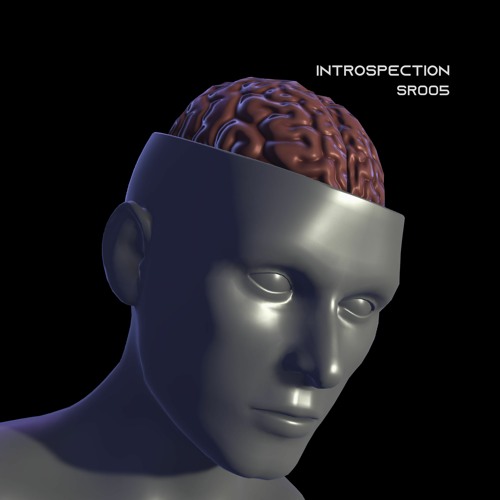 Stream Delbar Introspection Original Mix Sr005 By Surrealismo