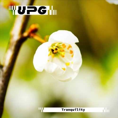 Stream Tranquility by Mr. UPGrade | Listen online for free on SoundCloud Tranquility