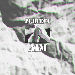 PERFECT A1M (Prod. by WIIINRA)