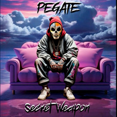 PEGATE (NEW RELEASE MASTERED)