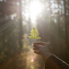 Shifting the mood