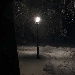 turn off the lights @noevdv