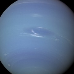 Drenalyn - Neptune (TPC232)