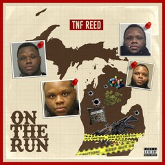 Tnf Reed x Fallin Again
