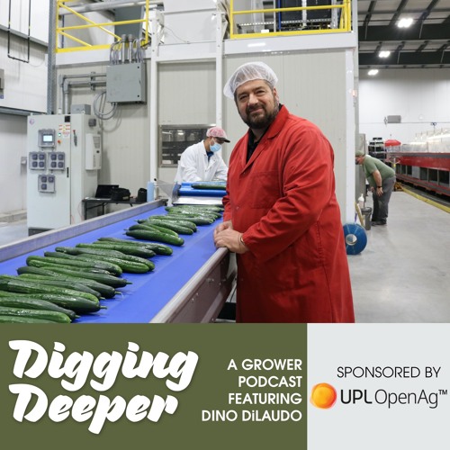 Dino DiLaudo launches Apeel protected greenhouse cucumbers