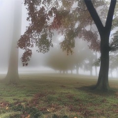 foggy morning