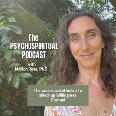 The causes and effects of a silted up willingness channel