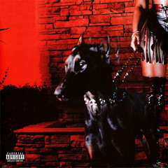 THE CUNTY MUTT(Jj Gabbana x Pez Dee)