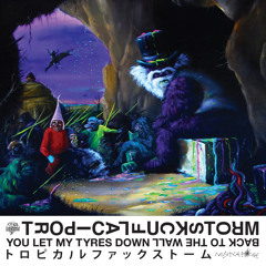 You Let My Tyres Down