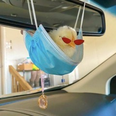 Summer? I hardly know her!