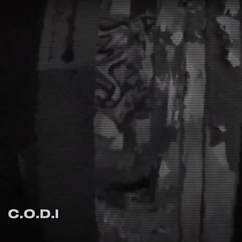 CODI - 200KONI (ODRZUT)