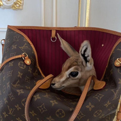 احبـك يـا ذهـب نـادر🌷