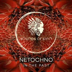 In The Past (Extended Mix)