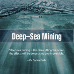 Deep Sea Mining: Promise or Peril? Richard Charter, Sr. Fellow, Ocean Foundation