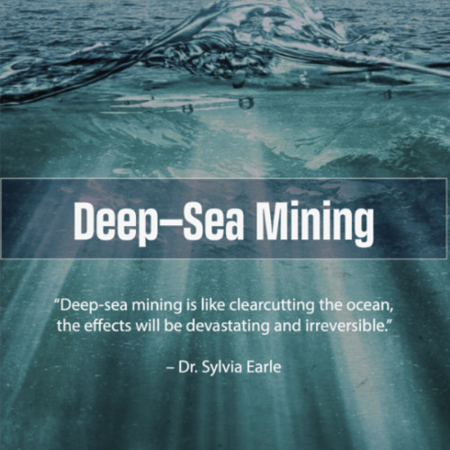 Deep Sea Mining: Promise or Peril? Richard Charter, Sr. Fellow, Ocean Foundation