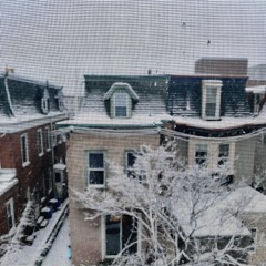 We Forgot That Seasons Change