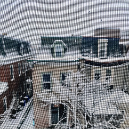 We Forgot That Seasons Change