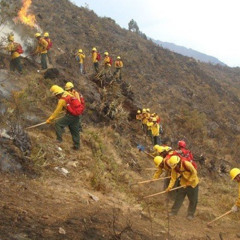CUSCO: capacitan a 100 brigadistas contra incendios forestales