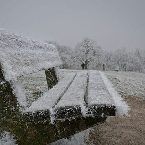 Best Set`s Februar 2024