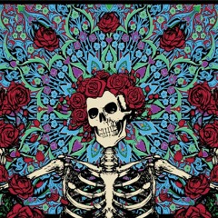 Grateful Dead - The Music Never Stopped (Owen's heady edit)
