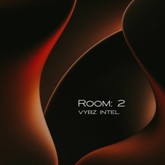 Room: 2 Mix - Vybz Intel